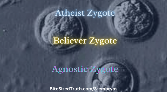 3 Zygotes Story