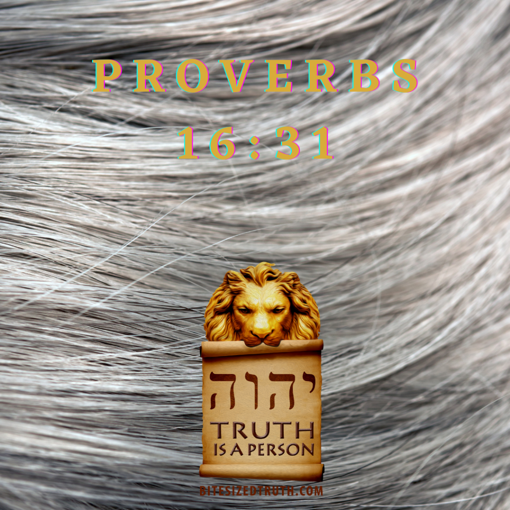 Silver, Gray, Hoary Head Message