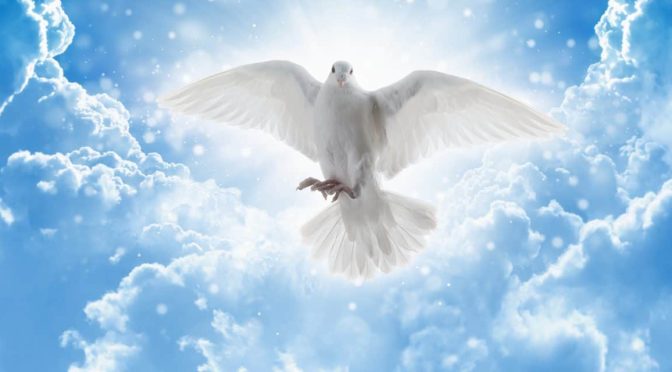 Holy Spirit Dove